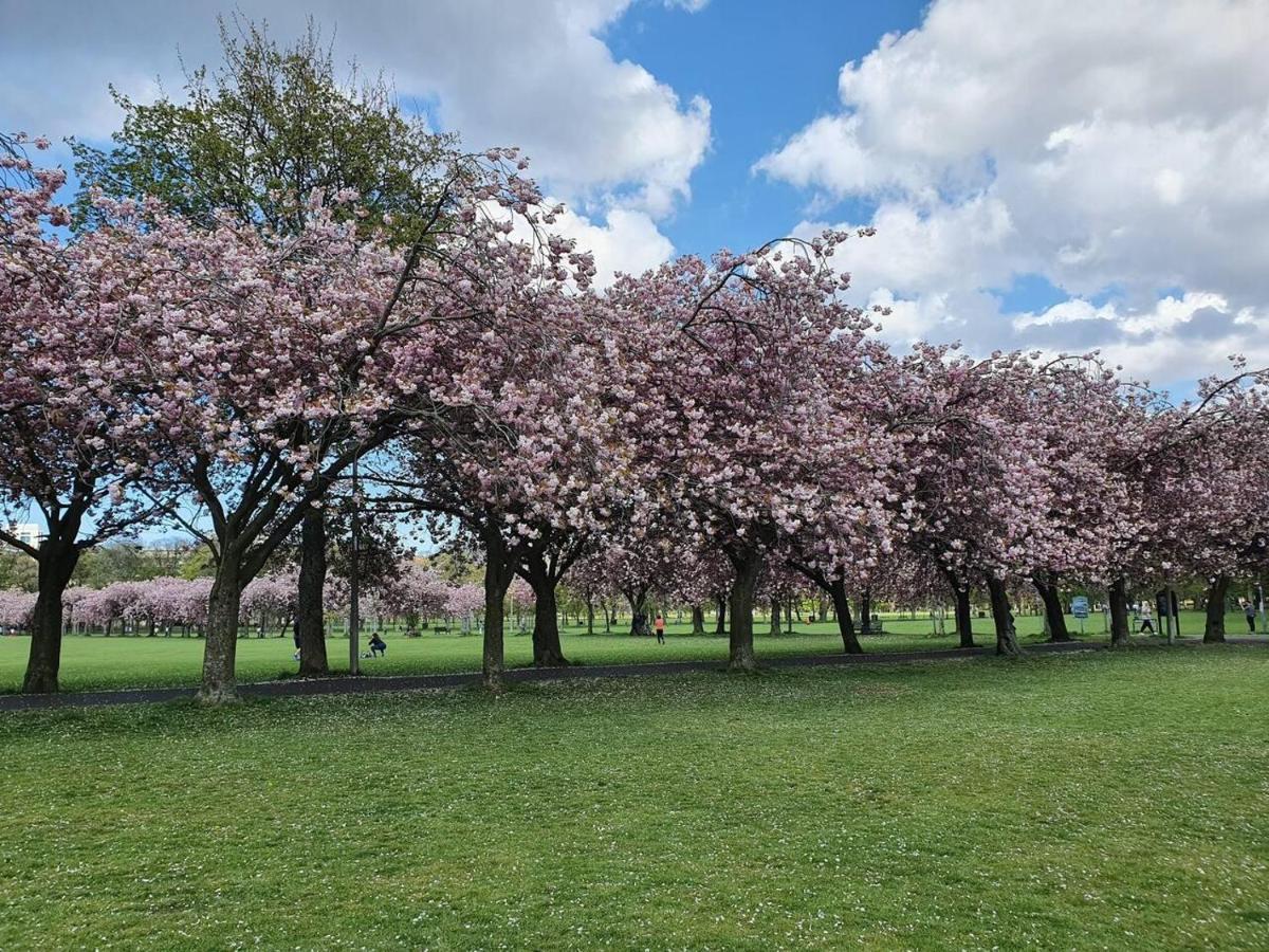 Lovely 2 Bedroom Flat In The Heart Of The Appartement Edinburgh